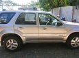 Ford Escape 2008 - Bán Ford Escape đời 2008, màu hồng phấn