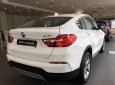 BMW X4 xDriver20i 2017 - Bán BMW X4 xDriver20i đời 2017, màu trắng, nhập khẩu