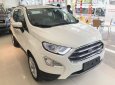 Ford EcoSport 2018 - Bán xe Ford EcoSport 2018 (xe cao cấp). Giá xe chưa giảm, LH Hotline báo giá xe Ford 2018 rẻ nhất: 093.114.2545