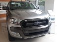 Ford Ranger Wildtrak 3.2 AT 2017 - Bán xe Ford Ranger Wildtrak 3.2 AT sản xuất 2017, màu xanh lam, nhập khẩu, 925tr