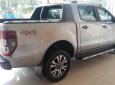 Ford Ranger Wildtrak 3.2 AT 2017 - Bán xe Ford Ranger Wildtrak 3.2 AT sản xuất 2017, màu xanh lam, nhập khẩu, 925tr