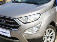 Ford EcoSport Titanium 2018 - Bán Ford Ecosport Titanium 2019, đủ màu, hỗ trợ trả góp lên tới 90% giá trị xe, vui lòng liên hệ Mr Trung 0967664648. Giao xe ở Hưng Yên