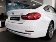 BMW 4 Series   420i 2017 - Bán xe BMW 4 Series 420i đời 2017, màu trắng, xe nhập