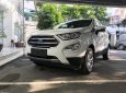 Ford EcoSport Titanium 1.0 Ecoboost 2018 - Ford EcoSport Titanium 1.0 Ecoboost 2018, liên hệ ngay để nhận ưu đãi đặc biệt, tặng bảo hiểm vật chất