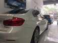 BMW 3 Series 320i 2015 - Bán xe BMW 3 Series 320i đời 2015, màu trắng