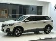 Peugeot 3008 2017 - Bán Peugeot 3008 đời 2017, màu trắng