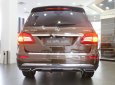 Mercedes-Benz Bentayga GLS 350d 4Matic 2018 - Xe Mercedes Benz GLS 350d 4Matic 2018