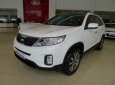 Kia Sorento GAT 2017 - Bán xe Kia Sorento năm 2017, màu trắng, nhập khẩu nguyên chiếc