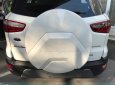 Ford EcoSport Titanium 1.0 Ecoboost 2018 - Xe Ford EcoSport Titanium 1.0 Ecoboost 2018, hỗ trợ mua xe trả góp có lợi, xe đủ màu, liên hệ ngay
