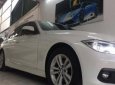 BMW 3 Series 320i  2015 - Bán xe BMW 3 Series 320i đời 2015, màu trắng