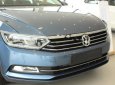 Volkswagen Passat 1.8TSI 2017 - Cần bán Volkswagen Passat 1.8TSI sản xuất 2017, màu xanh lam, xe nhập