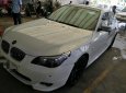 BMW 5 Series 530i 2008 - Bán ô tô BMW 5 Series 530i năm sản xuất 2008, màu trắng, nhập khẩu nguyên chiếc xe gia đình, 595 triệu