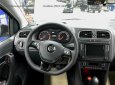 Volkswagen Polo 2017 - Bán Volkswagen Polo Hatchback, nhập khẩu chính hãng mới 100% - nhiều màu giao ngay 0967335988