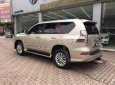 Lexus GX 460 2013 - Bán ô tô Lexus GX 460 năm sản xuất 2013, màu ghi vàng, nhập khẩu nguyên chiếc