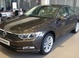 Volkswagen Passat Bluemotion 2017 - (Đạt David) Bán Volkswagen Passat Bluemotion đời 2017, màu nâu, xe mới 100% nhập khẩu chính hãng -LH:0933.365.188