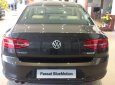 Volkswagen Passat Bluemotion 2017 - (Đạt David) Bán Volkswagen Passat Bluemotion đời 2017, màu nâu, xe mới 100% nhập khẩu chính hãng -LH:0933.365.188