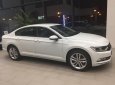 Volkswagen Passat Bluemotion 2017 - (Đạt David) Bán Volkswagen Passat Bluemotion đời 2017, màu trắng, xe mới 100% nhập khẩu chính hãng -LH: 0933.365.188