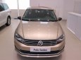 Volkswagen Polo Sedan 1.6L 2017 - (ĐẠT DAVID) Bán Volkswagen Polo Sedan đời 2017, màu nâu, xe mới 100% nhập khẩu chính hãng -
LH: 0933.365.188