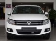 Volkswagen Tiguan 2.0L TSI 4Motion 2017 - (ĐẠT DAVID) Bán Volkswagen Tiguan đời 2017, màu trắng, xe mới 100% nhập khẩu chính hãng - LH: 0933.365.188