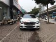 Mercedes-Benz S class S500L  2016 - Bán ô tô Mercedes Benz S class S500L đời 2016, màu trắng