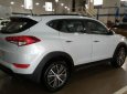 Hyundai Tucson 2018 - Bán xe Hyundai Tucson sản xuất 2018, màu trắng, nhập khẩu chính hãng