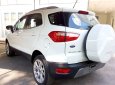 Ford EcoSport 2018 - Bán xe Ford Ecosport mới 2018 số tự động, giá 568 triệu