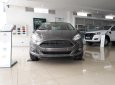 Ford Fiesta 1.5L AT Titanium  2017 - Bán ô tô Ford Fiesta 1.5L AT Titanium đời 2017, màu nâu giá cực sốc. LH 096.202.8368