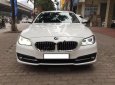 BMW 5 Series 520i 2014 - Bán BMW 5 Series 520i đời 2014, màu trắng, xe nhập như mới