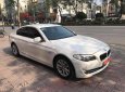 BMW 5 Series 523i 2010 - Bán BMW 5 Series 523i sản xuất 2010, màu trắng, nhập khẩu nguyên chiếc giá cạnh tranh