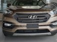 Hyundai Santa Fe   4WD  2018 - Bán xe Hyundai Santa Fe 4WD sản xuất năm 2018, màu nâu