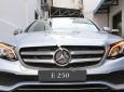 Mercedes-Benz E class E250 2018 - Bán ô tô Mercedes E250 năm sản xuất 2018, màu bạc