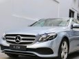 Mercedes-Benz E class E250 2018 - Bán ô tô Mercedes E250 năm sản xuất 2018, màu bạc