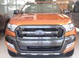 Ford Ranger Wildtrak 3.2L 4x4 AT 2018 - Bán Ford Ranger Wildtrak 3.2L 4x4 AT năm 2018, xe nhập