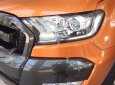 Ford Ranger Wildtrak 3.2L 4x4 AT 2018 - Bán Ford Ranger Wildtrak 3.2L 4x4 AT năm 2018, xe nhập