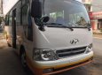 Hyundai County Limosine 2010 - Bán Hyundai County Limosine 2010, màu trắng, giá chỉ 550 triệu