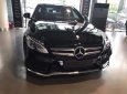 Mercedes-Benz C class 2017 - Bán Mercedes C300 AMG, cuối 2017 màu đen