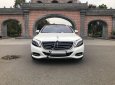 Mercedes-Benz S class S500L 2016 - Bán xe Mercedes S500L đời 2016, màu trắng