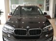 BMW X5 X5 xDrive35i  2017 - 0938906047 SUV gia đình: BMW X5 xDrive35i Sparkling Brown New. Giao xe ngay tháng 03/2018