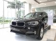 BMW X5 X5 xDrive35i  2017 - 0938906047 SUV gia đình: BMW X5 xDrive35i Sparkling Brown New. Giao xe ngay tháng 03/2018