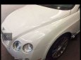 Bentley Continental 2007 - Bán ô tô Bentley Continental 2007, màu trắng, xe nhập