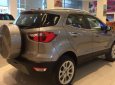 Ford EcoSport Titanium 1.5L AT 2018 - Bán xe Ford EcoSport Titanium 1.5L AT 2018, màu xám, giá 648tr