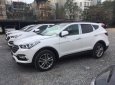 Hyundai Santa Fe 2018 - Cần bán xe Hyundai Santa Fe sản xuất 2018, màu trắng