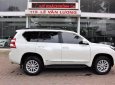 Toyota Land Cruiser Prado 2017 - Cần bán lại xe Toyota Land Cruiser Prado đời 2017, màu trắng, xe nhập