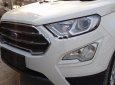 Ford EcoSport 2018 - Bán Ford EcoSport năm sản xuất 2018, màu trắng, giá tốt