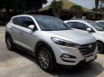 Hyundai Tucson     2015 - Bán xe Hyundai Tucson sản xuất năm 2015, màu trắng, nhập khẩu