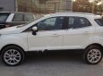 Ford EcoSport 2018 - Bán Ford EcoSport năm sản xuất 2018, màu trắng, giá tốt
