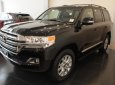 Toyota Land Cruiser 5.7 2016 - Bán ô tô Toyota Land Cruiser 5.7 sản xuất năm 2016, màu đen, xe nhập