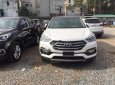 Hyundai Santa Fe 2018 - Cần bán xe Hyundai Santa Fe sản xuất 2018, màu trắng