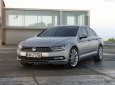 Volkswagen Passat 1.8 TSI 2017 - (ĐẠT DAVID) Bán Volkswagen Passat Bluemotion, (màu xanh đen, đen, nâu, trắng), nhập khẩu mới 100% LH: 0933.365.188