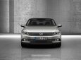 Volkswagen Passat 1.8 TSI 2017 - (ĐẠT DAVID) Bán Volkswagen Passat Bluemotion, (màu xanh đen, đen, nâu, trắng), nhập khẩu mới 100% LH: 0933.365.188